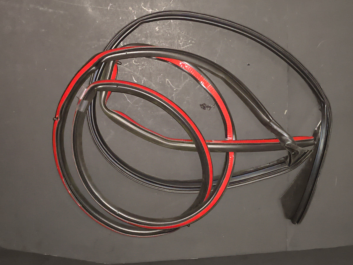 2001–2009 Volvo S60, V70, V70 XC & XC70 Front Right (Passenger Side) Door Seal / Weatherstrip 🚘🚪